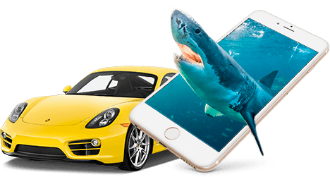 Машина с акулой